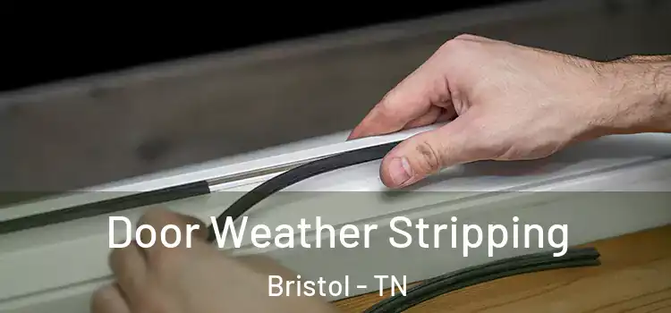 Door Weather Stripping Bristol - TN
