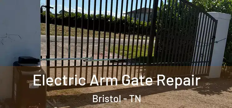 Electric Arm Gate Repair Bristol - TN