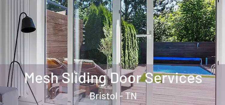 Mesh Sliding Door Services Bristol - TN